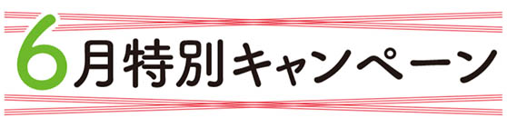 6月特別キャンペーン