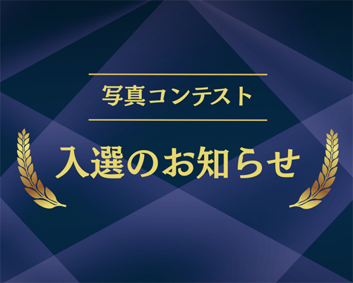 記事画像
